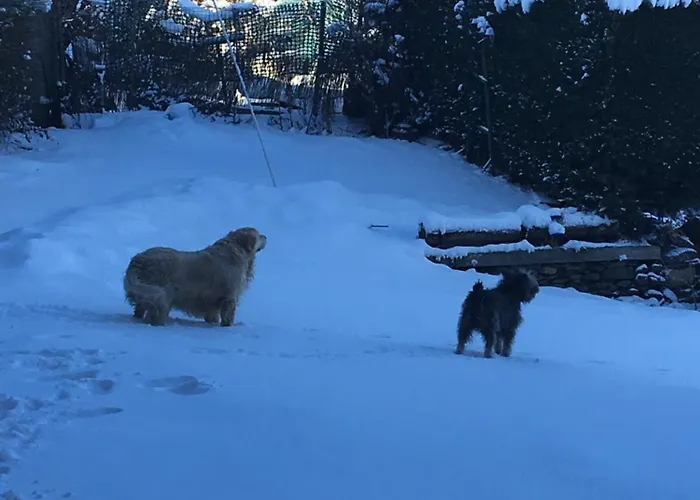 Casa di campagna Cal Mateu Urtx